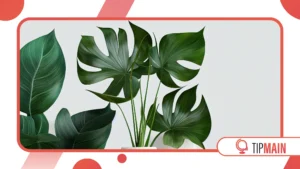 Aplicativos para Identificar Plantas: Uma Ferramenta Essencial para Entusiastas da Natureza