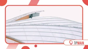 Glass, Steel, and Sustainability: The Rise of Transparent Architecture