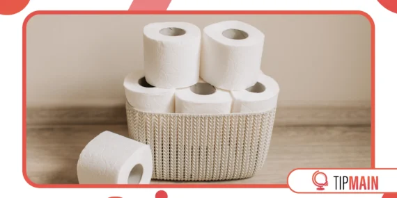 What People Used Before Toilet Paper — and Why It Matters