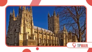 How Cathedrals Functioned as Medieval Social Networks