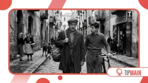 National Cinema Traditions Around the World